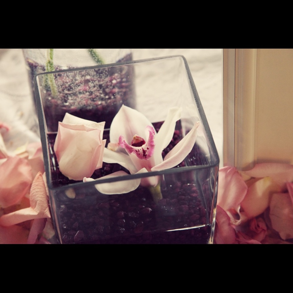 Meet your Posher, Tina